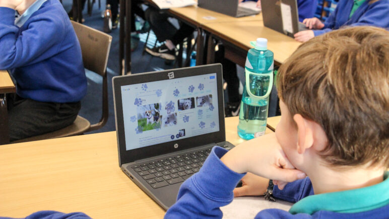 A young boy dressed in school uniform is using a chromebook to search the internet.
